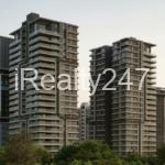 4 BHK 4400 Sq Ft Apartment For Sale Paarijat Eclat, Near Iscon Mandir in Ahmedabad