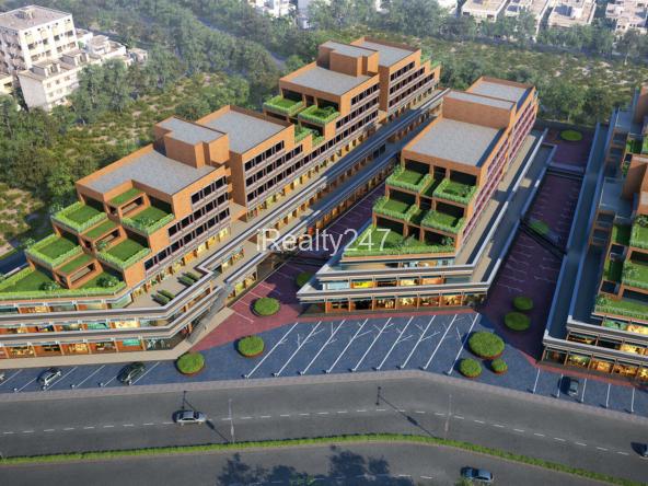 kavisha celebration city center 6